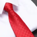 Red business zipper tie with geometric pattern, easy wear pre-tied necktie for men. - D06 Zipper
