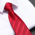 Men's red striped zipper necktie for business wedding formal wear variant style. - D09 Zipper