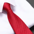 Red patterned necktie for men, perfect for wedding, business and formal suit wear style. - D11 Zipper