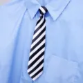 Vista dettagliata di una cravatta elegante a righe bianche e nere con camicia azzurra. - Grosso Rigato Nero Stile Donna