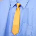 Elegante cravatta in seta lucida giallo vivo abbinata a una classica camicia azzurra. - Arancione Stile Donna