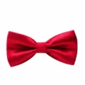 Heldere rode glanzende stoffen vlinderdas voor heren, klassiek formeel trouwaccessoire. - Heldere Rood Glanzend