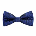 Heren blauwe paisley vlinderdas voor zakelijke formele trouwhemden pak mode accessoire - Blauw Cashew Paisley