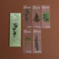PET translucent plant bookmarks botanical series literary style student reading book clip set - Wild Grassland