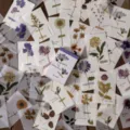 Botanisches Material Notizpapier Set, Vintage gepresste Blumen Tagebuch DIY Zubehör 80Stk - Tagebuch der gepressten Blumen / 80 Stück/Packung