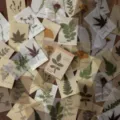 Pflanzen-Muster-Materialpapier Set, transparente Trockenblumen Journal DIY Sticker. - Blumenexemplar / 80 Stück/Packung