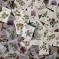 Papel de material de ilustración botánica vintage y mini cuaderno para manualidades de diario DIY. - Etiqueta Botánica / 80 Piezas/Paquete