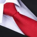 Dettaglio della cravatta in seta rosso vino con trama fine, accessorio elegante per uomo business. - Cravatta Fatta A Mano A Pois Scuri(ZSY022) / Rosso