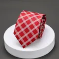 Red plaid men necktie close up detail shot classic formal business wear accessory style. - 21