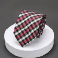 Men's Red Black Plaid Necktie Classic Check Tie Business Formal Wear Neckwear Accessories - ld012 Red White Plaid