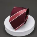 Men's burgundy striped necktie, classic formal business suit tie detail shot for office wear. - Y30