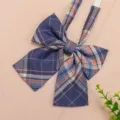 Close-up detail of Japanese JK style plaid bow tie, featuring classic blue and pink pattern. - Purple & Orange