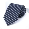 Men's classic striped tie navy blue business formal necktie wedding wear accessory - W2 Style Blue Stripe