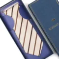 Men's striped necktie set with elegant gift box, perfect for business formal weddings. - Zipper Style / Long Box / Champagne Stripe