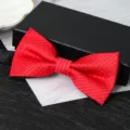 Detailed close-up view of a vibrant red men's bow tie featuring textured fabric design. - D15 Bowtie