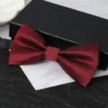 Classic burgundy striped double layer bow tie for men wedding formal suit dress shirt accessories. - Dark Red Fine Stripe Bowtie