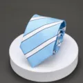 Close-up detail view of the classic light blue and white striped men formal necktie texture. - L012