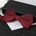 Men burgundy black striped double bow tie for formal wedding shirt suit accessory style - Wine Red Asymmetric Vertical Stripe Bowtie