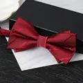 Burgundy double layer bow tie detail, classic twill fabric for formal wedding suits. - Wine Red Asymmetric Stripe Bowtie