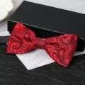 Red black paisley bow tie for men, double layer formal wedding suit accessory, stylish and classic. - Wine Red Paisley Bowtie