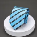 Men's blue striped business necktie, professional formal wear tie for office wedding and work. - Lake Blue Double Black Lines