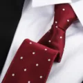Classic red polka dot silk tie with white shirt collar, professional business formal wear accessory. - 8cm Rich Red White Dot Zipper