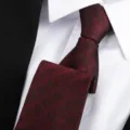 Classic burgundy red polka dot tie for men, elegant business formal necktie for wedding wear. - 8cm Burgundy Starry Zipper