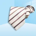 Close-up detail of the stylish striped zipper necktie showing fabric texture and pattern. - 8cm Champagne Stripe Zipper