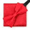 Rood Jacquard Strikje en Pochet Set voor Heren Trouw Zakelijk Formeel Pak - D01 Rood Patroon Vlinderdas + Pocket Square
