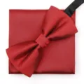 Klassiek rood vlinderdas en pochet set voor heren formele zakelijke trouwkleding. - F9 Rood Fijne Streep Vlinderdas + Pocket Square