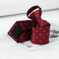 Closeup detail of burgundy zipper necktie with white polka dots, textured fabric. - Rich Red White Dot Zipper Tie