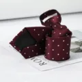Burgundy polka dot zipper tie detail close up showcasing smooth textured fabric style. - Burgundy White Dot Zipper Tie