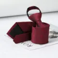 Wine red plaid zipper necktie for men business formal wedding wear easy wear pre-tied tie - Burgundy Block Zipper Tie