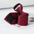 Burgundy herringbone polka dot pre-tied zipper necktie for business and wedding wear. - Burgundy Herringbone White Dot Zipper Tie