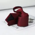Red glitter pre-tied zipper tie for business formal wear, wedding, and groom attire details. - Past Burgundy Zipper Tie