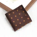 Heren Vintage Bruin Pochet Geometrisch Patroon Pak Zakdoek Huwelijk Feest Kostuum Accessoire - Koffie Goud Vierkant Pochet