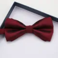 Burgundy striped bow tie detail view, elegant fabric texture for formal wedding wear and suits. - Dark Red Fine Stripe Asymmetric Bow Tie