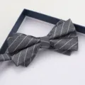 Dettaglio farfallino grigio a righe, elegante accessorio formale maschile in scatola. - Farfallino Righe Bianche Opaco Grigio