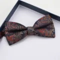 Dettaglio papillon con classico motivo cachemire, che mostra elegante tessuto blu scuro. - Farfallino Paisley Nuvola Auspiciosa
