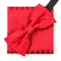 Rood gestreepte vlinderdas en pochet set voor heren formele huwelijk trouwpak mode. - H18 Rood GestreEPT Vlinderdas + Pocket Square