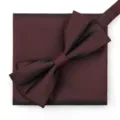 Conjunto de pajarita y pañuelo burdeos para hombres boda formal traje de negocios accesorios. - Burdeos Elegante Pajarita + Pañuelo