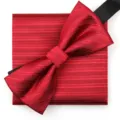 Conjunto de pajarita y pañuelo de rayas rojas para hombre accesorio de traje de boda formal - Burdeos Patrón Oscuro Pajarita + Pañuelo