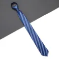 Blue striped zipper tie for men and women, ready-made lazy tie for business office and formal wear. - A02 Stripe Zipper Style / 6cm / Blue