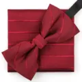 Conjunto de pajarita y pañuelo a rayas burdeos para traje formal de hombre boda. - Burdeos Raya Diagonal Pajarita + Pañuelo