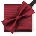 Conjunto de pajarita y pañuelo de bolsillo a rayas burdeos para hombre boda negocios. - Burdeos Oscuro Patrón Oscuro Pajarita + Pañuelo