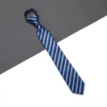 Blue Striped Zipper Tie for Men Women Business Formal Interview Wedding Necktie - W15 Stripe Zipper Style / 6cm Short Style / Blue