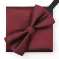 Set de pajarita y pañuelo burdeos para hombre, accesorio de traje formal para boda y negocios. - Burdeos Oscuro Raya Diagonal Pajarita + Pañuelo