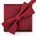 Elegante set de pajarita y pañuelo de bolsillo burdeos para traje formal de hombre - Nuevo Burdeos Raya Fina Pajarita + Pañuelo