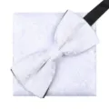 Conjunto de pajarita y pañuelo paisley blanco para hombre boda traje formal elegante. - Blanco Paisley Pajarita + Pañuelo