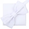 Conjunto de pajarita y pañuelo blancos para hombre, accesorio formal clásico. - Blanco Raya Fina Pajarita + Pañuelo